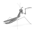 PRAYING MANTIS