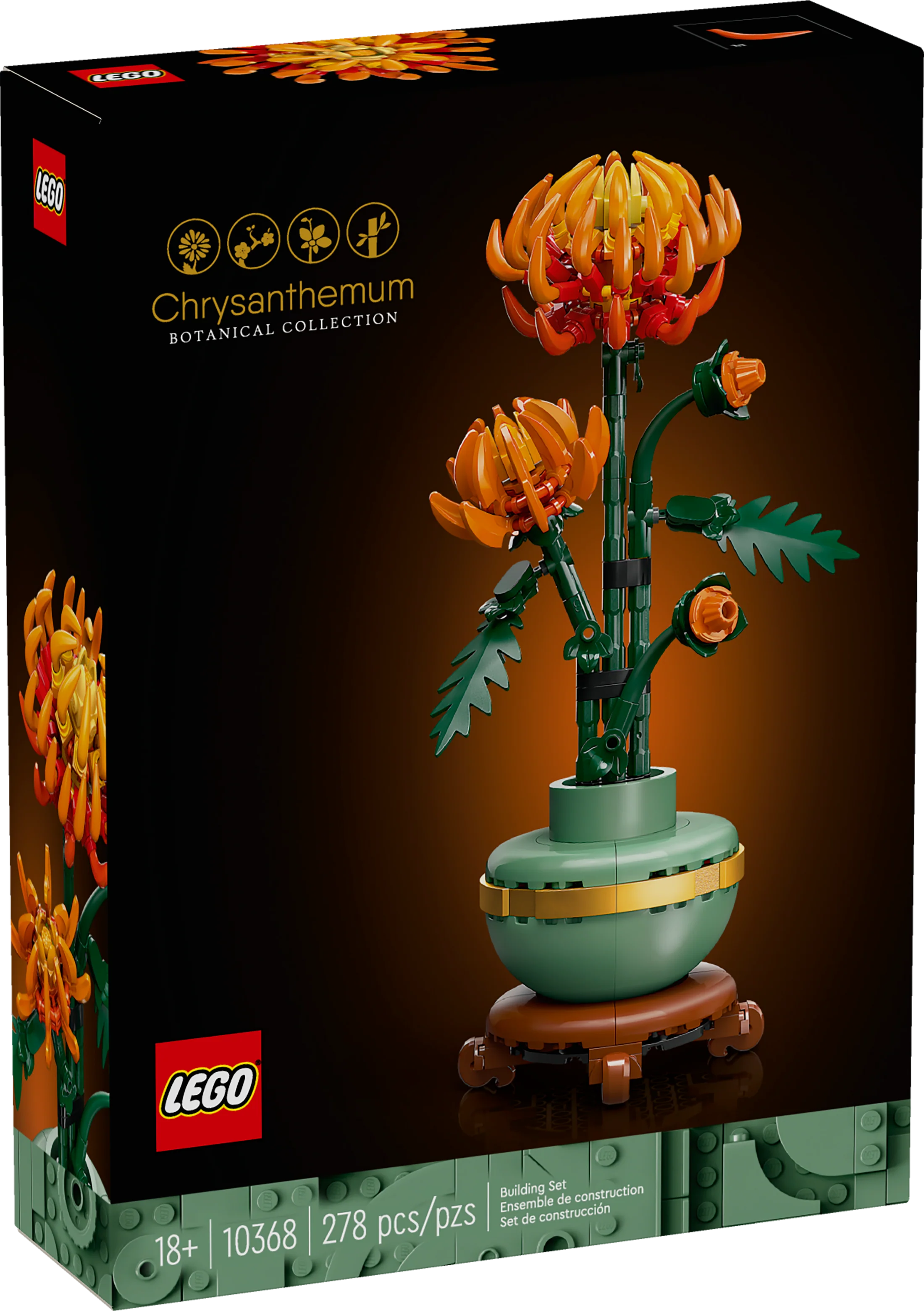 10368 Chrysanthemum Flower