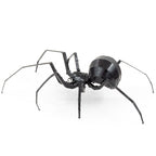 BLACK WIDOW SPIDER
