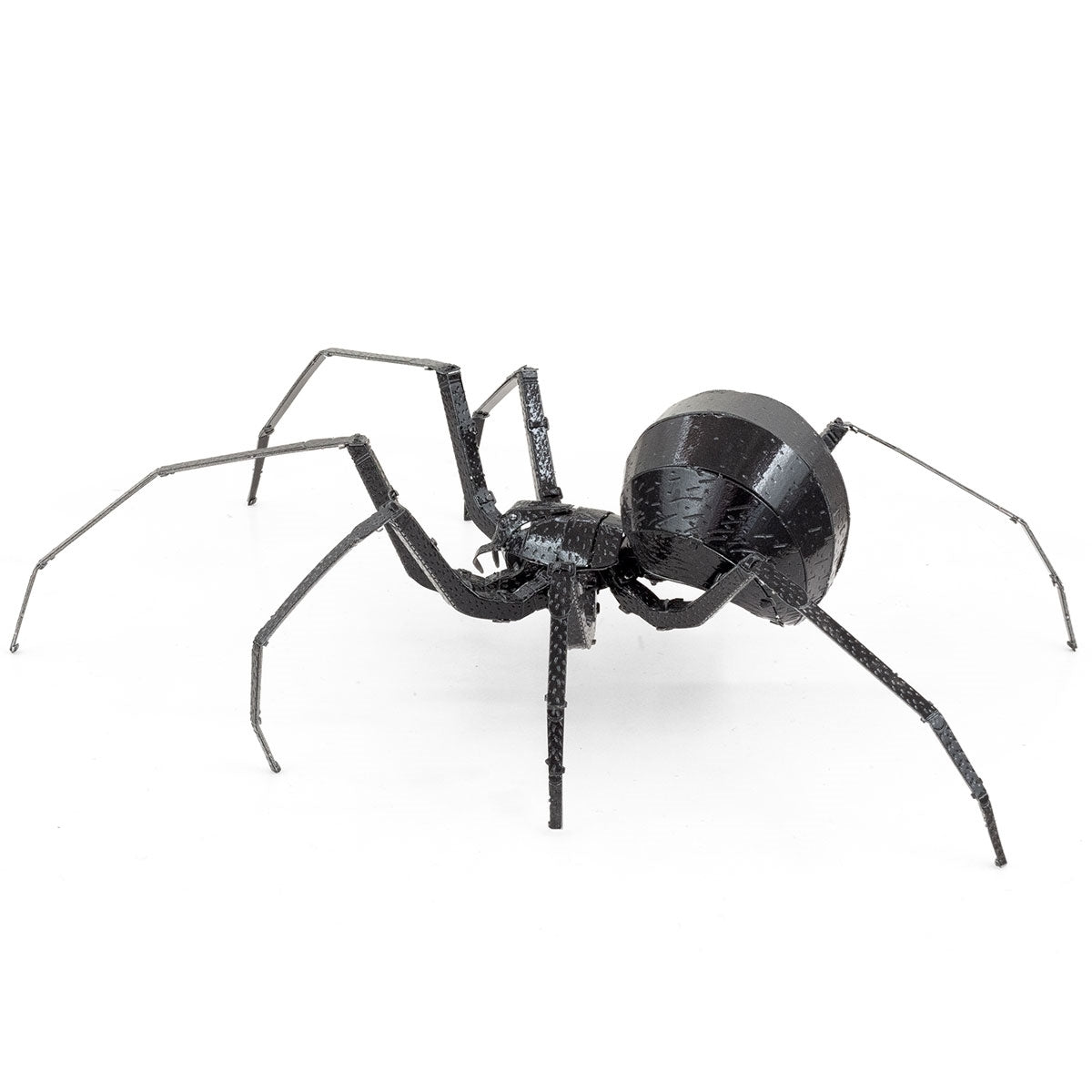 BLACK WIDOW SPIDER