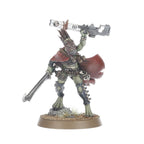 T'AU EMPIRE: KROOT FARSTALKERS