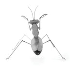 PRAYING MANTIS