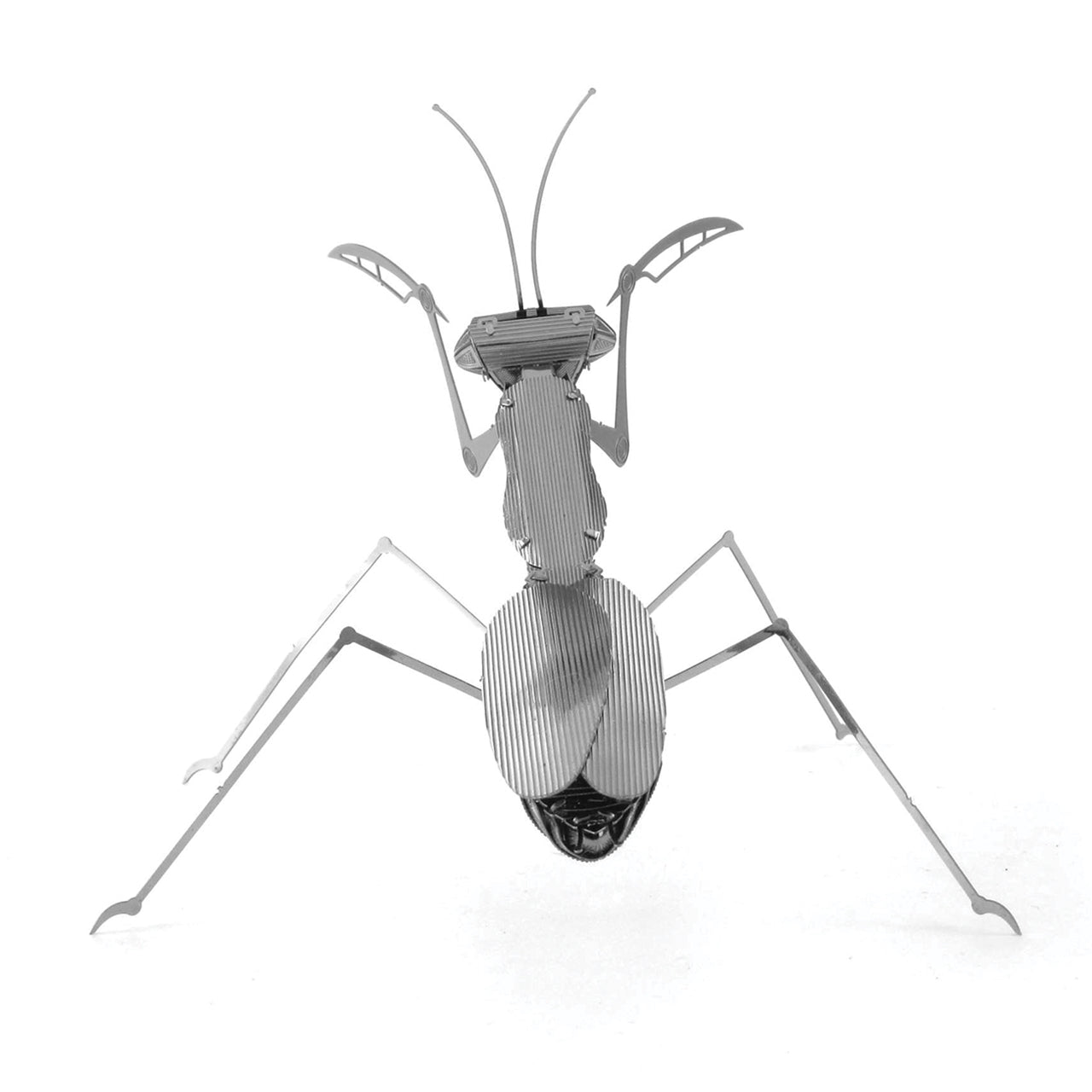 PRAYING MANTIS